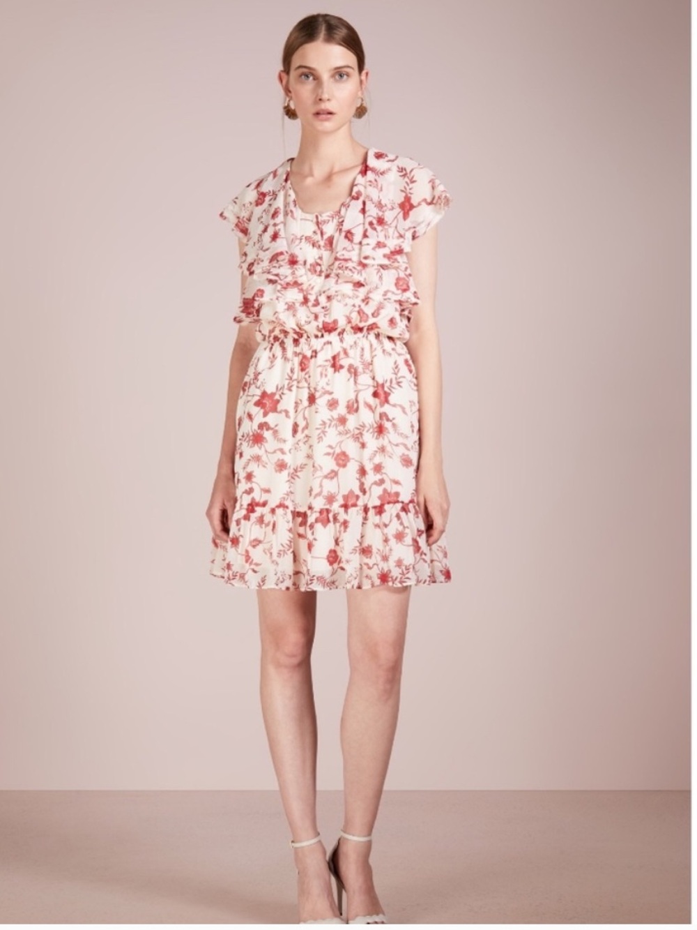 Rebecca Minkoff Claudia Chiffon Floral Dress
